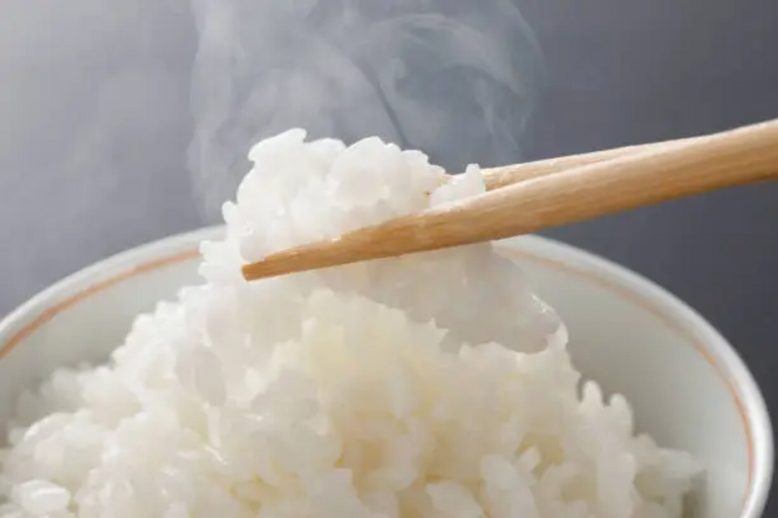 お米の保存ガイド！冷蔵・常温での正しい保存方法とポイントを解説