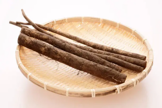ごぼうの保存ガイド！常温・冷蔵・冷凍で長持ちさせる秘訣とささがきで保存する方法