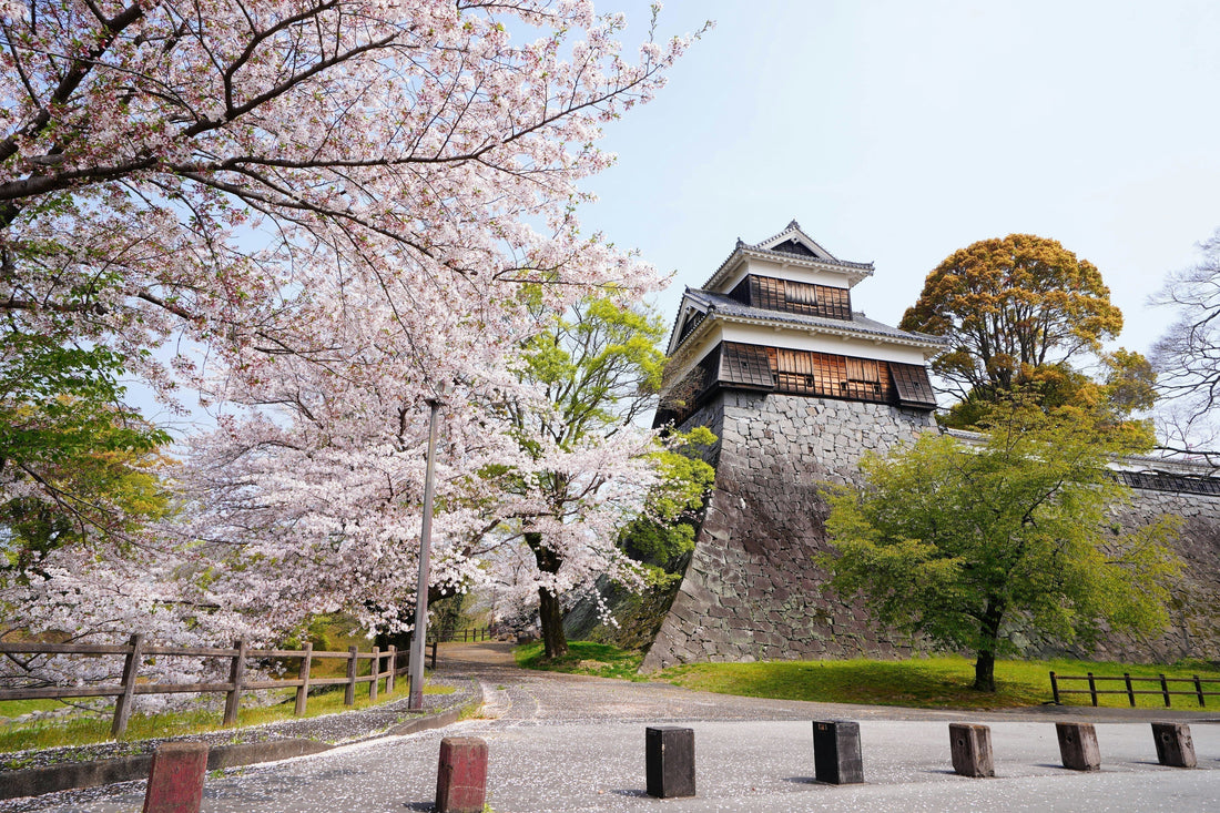 熊本県のウォーターサーバーおすすめ人気9選【2026年8月】安いサーバーはどれ？