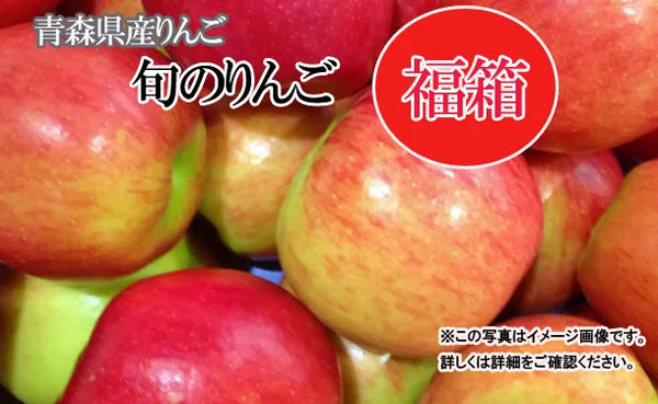 青森県「旬のりんご福箱（数品種・無選別）」