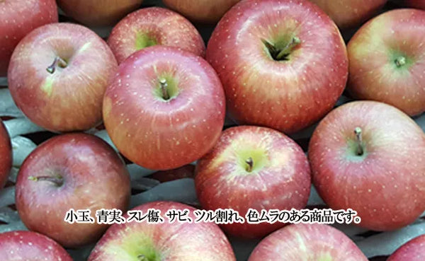 青森県「旬のりんご福箱（数品種・無選別）」