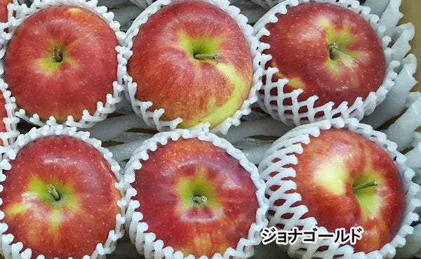 青森県産「無選別 サンジョナゴールド」