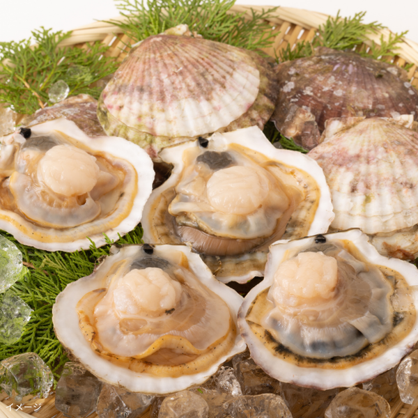 北海道産「片貝ほたて」