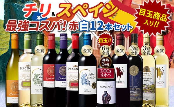 「コスパ抜群！金賞受賞含むチリスペインワインセット」
