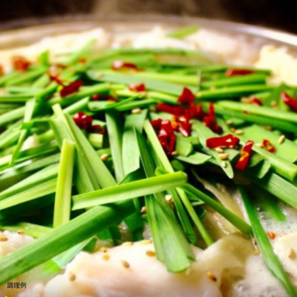 「もつ鍋生ラーメンセット」