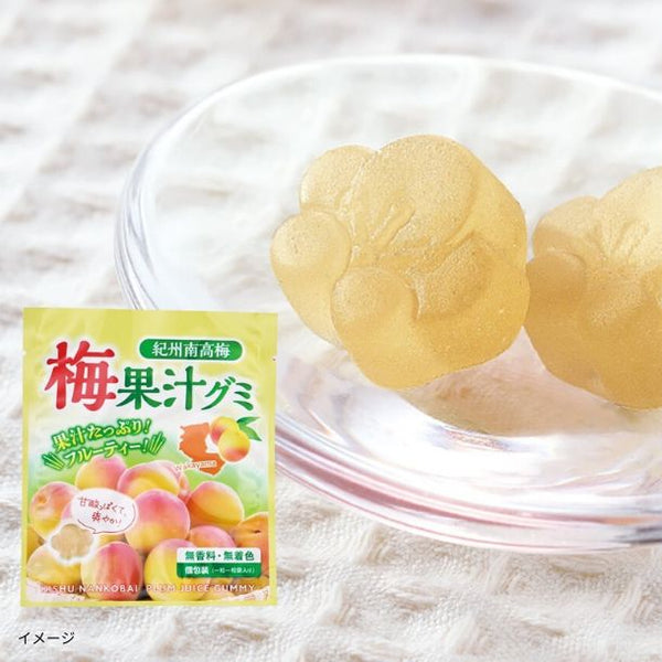 「紀州南高梅 梅果汁グミ」