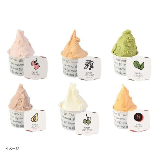 「NARAGELATO 12個セット」