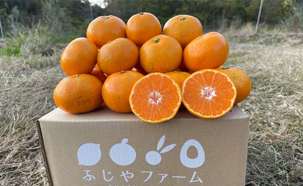 大崎上島産「雹被害の訳あり温州みかん」5kg（50個程度）
