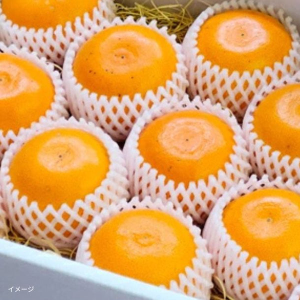 「特撰 せとか」