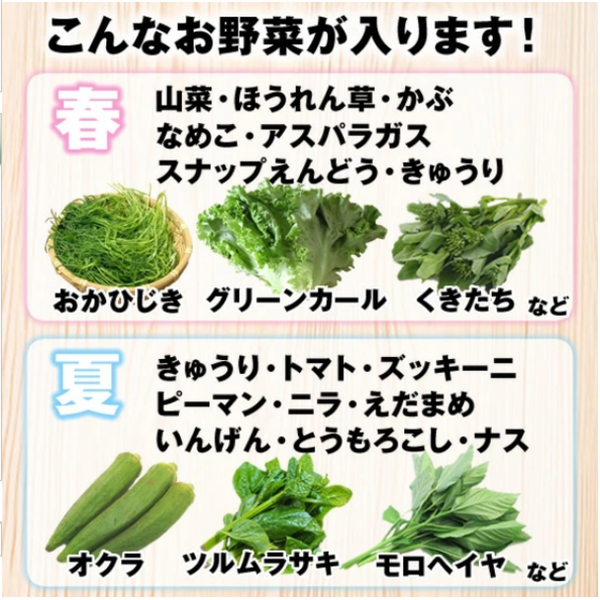「山形市場厳選！野菜セット7品目（おまけ付）」