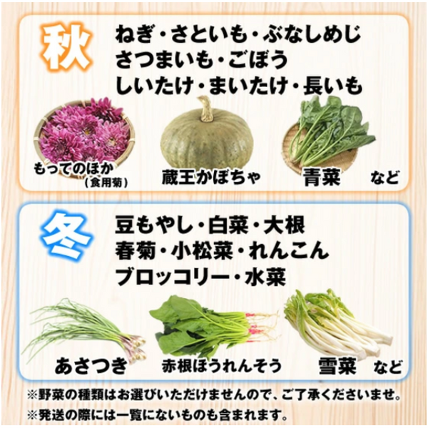 「山形市場厳選！野菜セット7品目（おまけ付）」