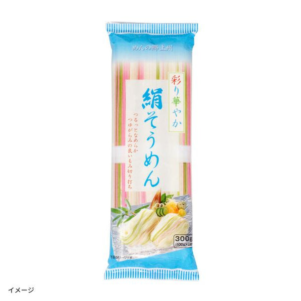 「彩り華やか 絹そうめん」