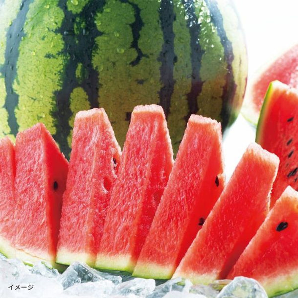 熊本県産「大玉すいか 1玉」