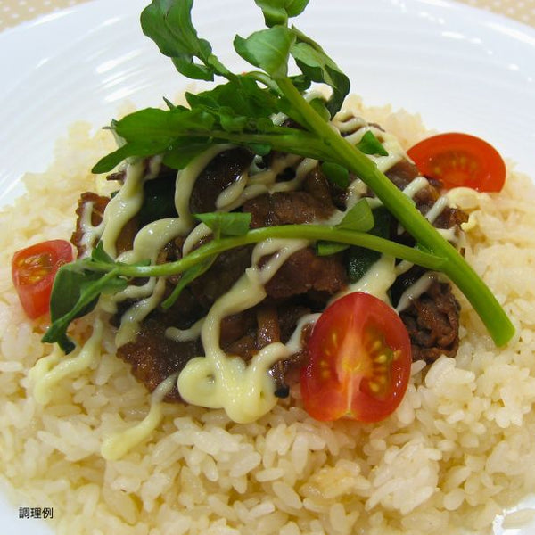 ハウス「スパイスライス ガーリックライス用（レストラン用）」