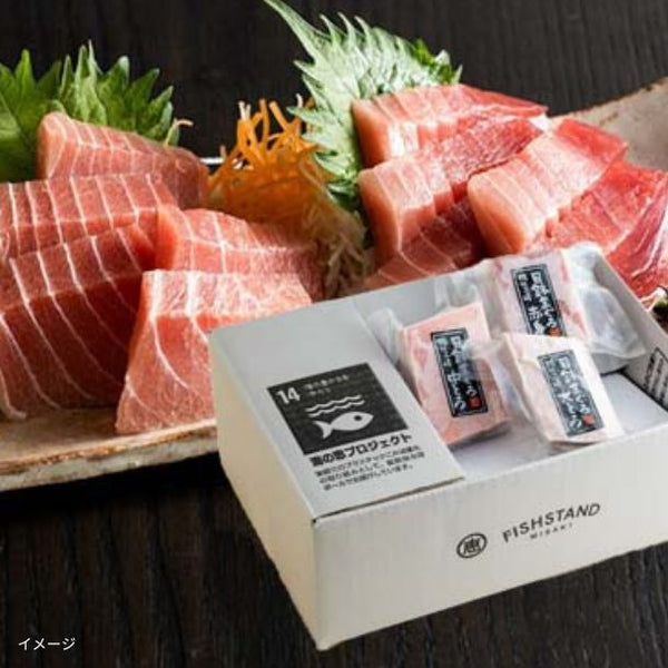 「天然目鉢鮪 大トロ中トロ赤身詰合せセット（300g）」