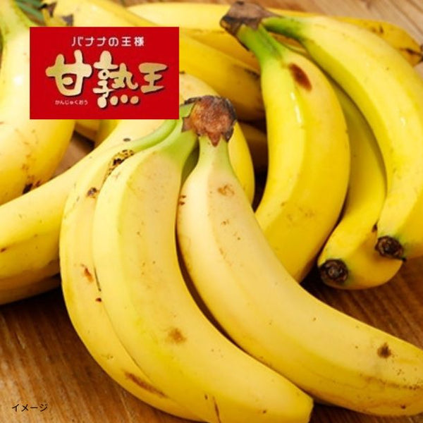 「業務用 訳あり甘熟王バナナ」
