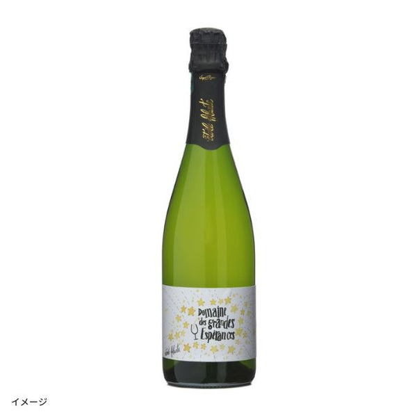 フランス産 白「エトワール・フィラント トゥーレーヌ ブリュット」