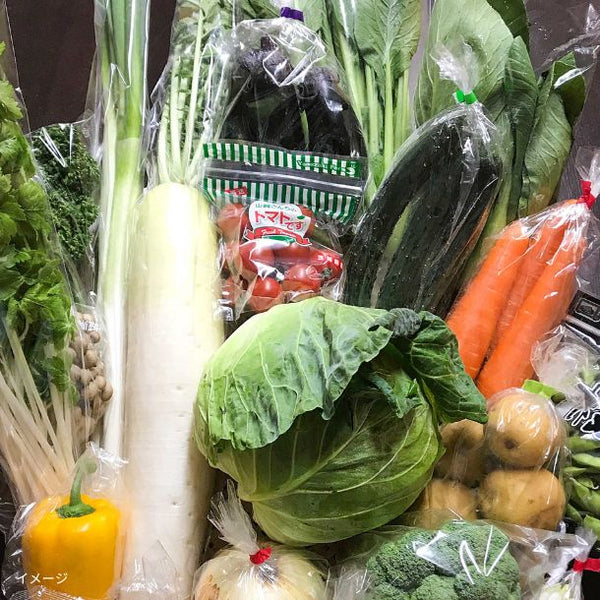 千葉県産・茨城県産「旬の野菜詰め合わせセット 12品目」