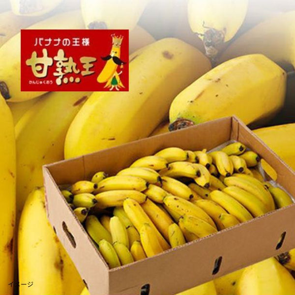 「業務用 訳あり甘熟王バナナ」