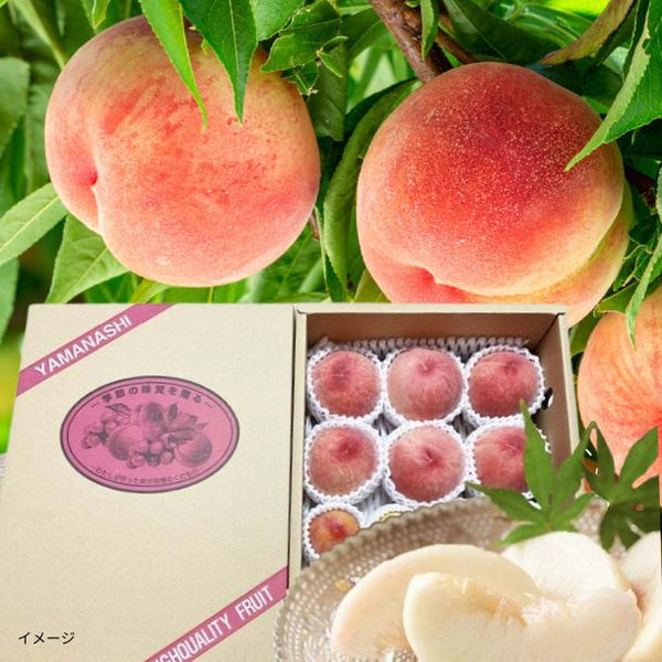 山梨県産「桃 はなよめ （秀品・8〜12玉） 化粧箱入り」