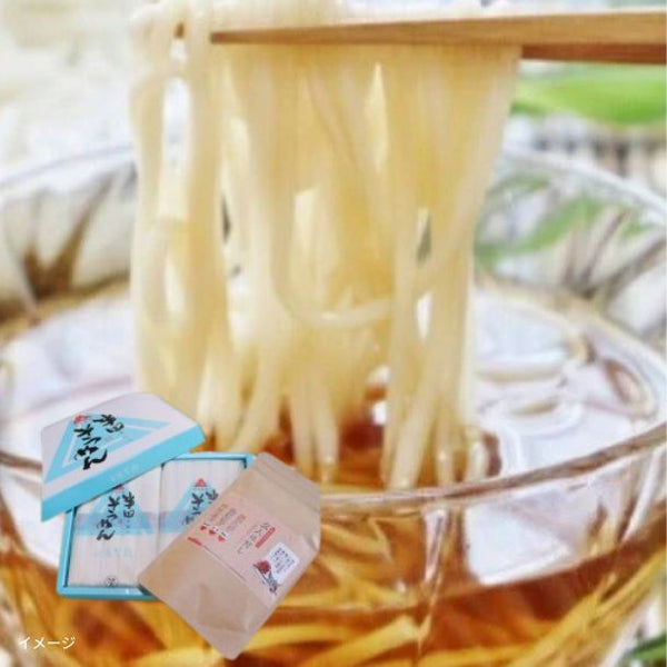 「手延べ半田素麺＆玄人はだし 詰合せセットB」