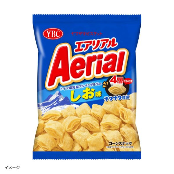 YBC「エアリアル ドイツ産岩塩アルペンザルツ使用 しお味 」