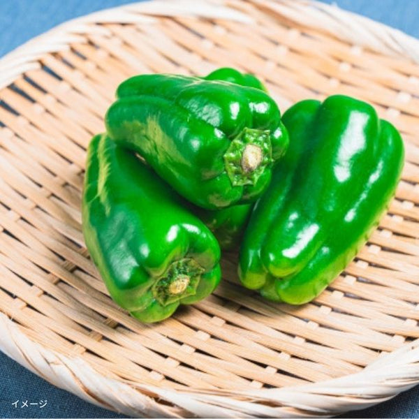千葉県産「房総野菜 無限ピーマン」