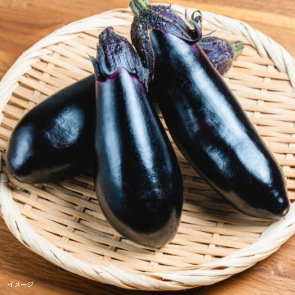 千葉県産「房総野菜 茄子」