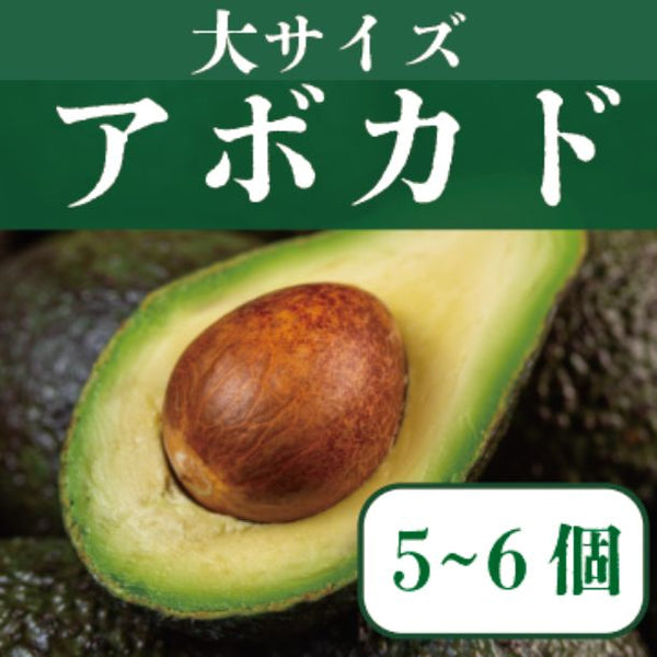 「豊洲市場発 メキシコ産アボカド」