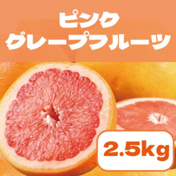 「豊洲市場発 ピンクグレープフルーツ」