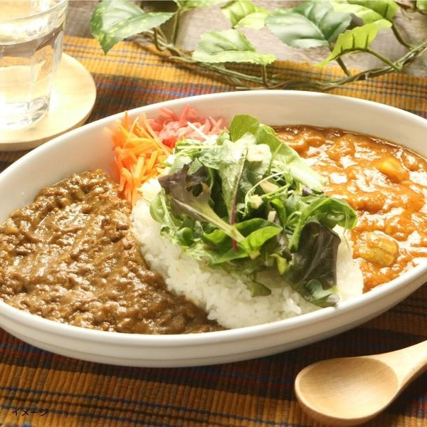 「DMVカレー 130g」
