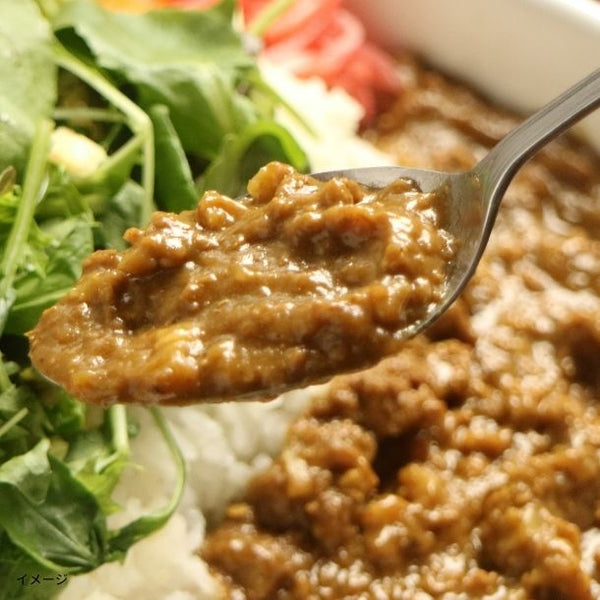 「DMVカレー 130g」