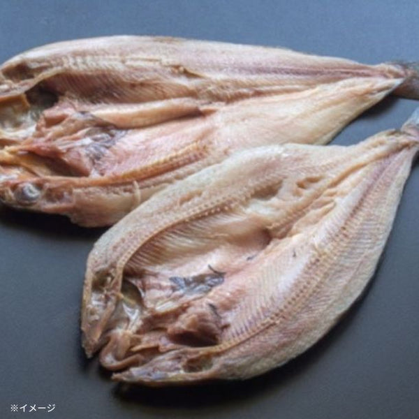 北海道産「真ほっけ Lサイズ」