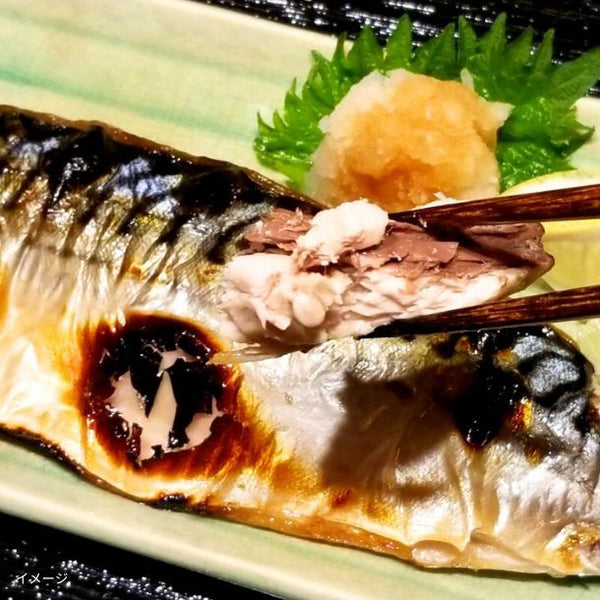 「骨取済み 無塩 トロさばフィーレ」