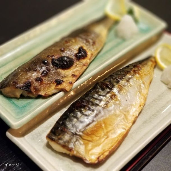 「骨取済み 無塩 トロさば＆縞ほっけフィーレ 各1kg」