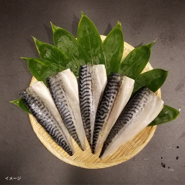 「骨取済み 無塩 トロさば＆縞ほっけフィーレ 各1kg」