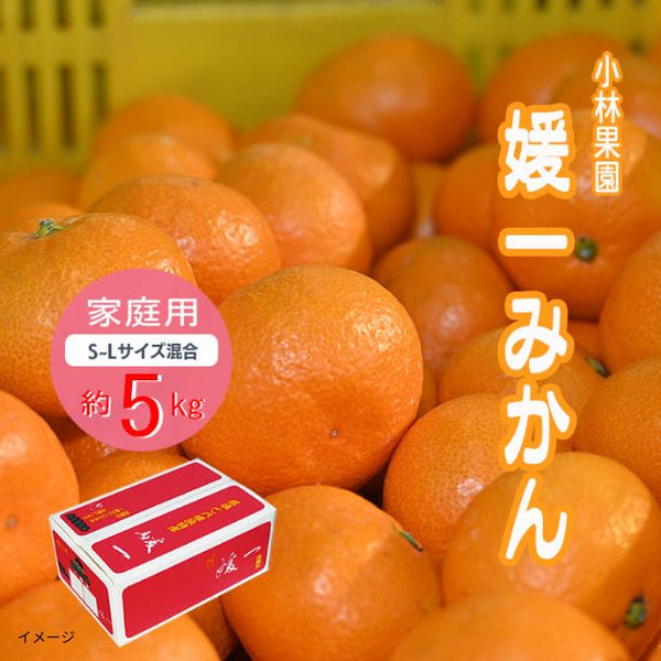 愛媛県産「媛一みかん 家庭用 S～Lサイズ混合」
