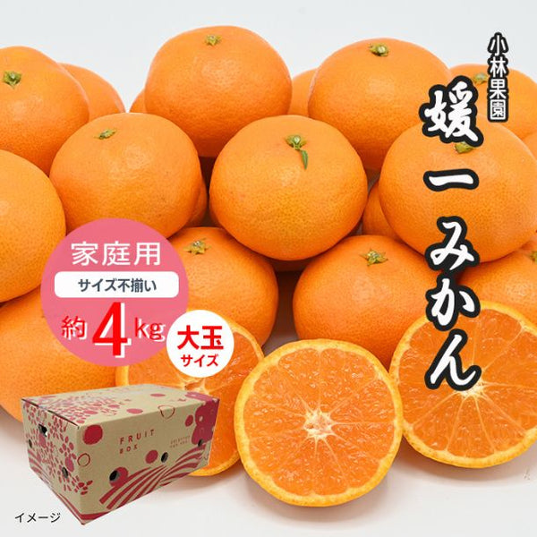 愛媛県産「媛一みかん 家庭用 大玉 Lサイズ以上」