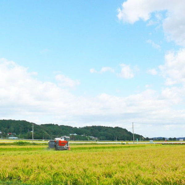 令和7年産「宮城県産 1等米 白米」