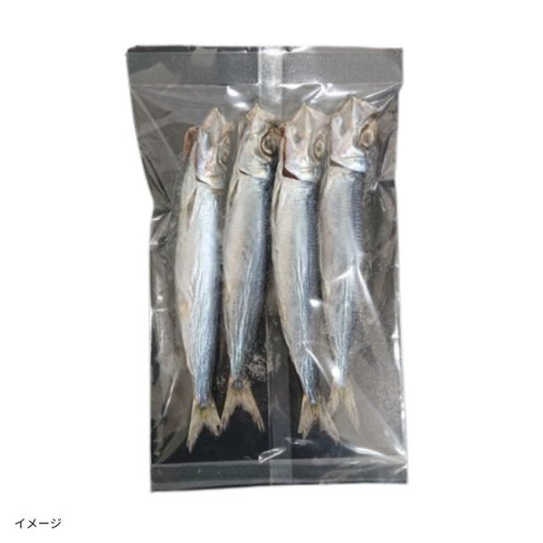「ウルメイワシ若干し」