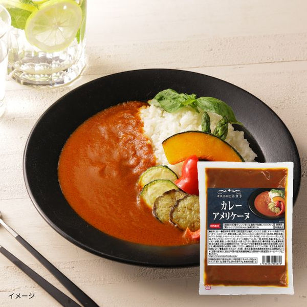 「フレンチシェフのこだわり欧風ビーフカレー／キスコのヒトサラシリーズカレー」