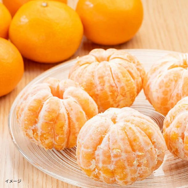 「国産 フルーツ冷凍 丸ごとみかん」