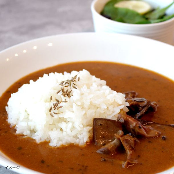 「アオリイカカレー」