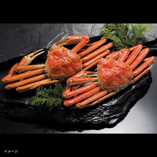 「超特大 本ずわいがに 姿 ボイル」