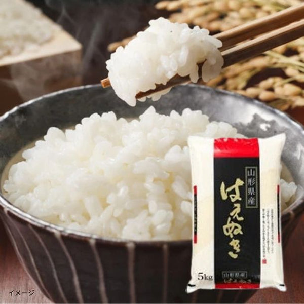 令和7年産「山形県産 はえぬき 精米」