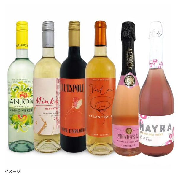 「家庭料理に合う！世界各国のワイン6本セット」