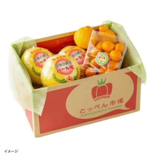 熊本県産「みかんの玉手箱 3種類詰合せ」