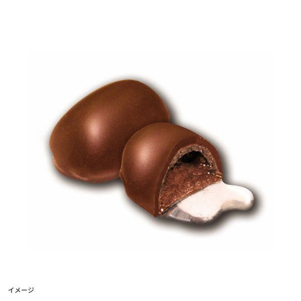 「日本酒ボンボンチョコレート 匠 純米大吟醸（京都伏見）」