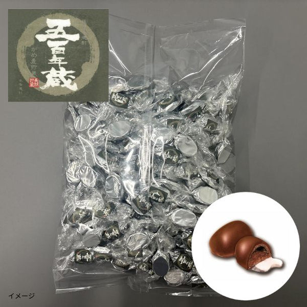 「焼酎ボンボンチョコレート 五百年蔵」