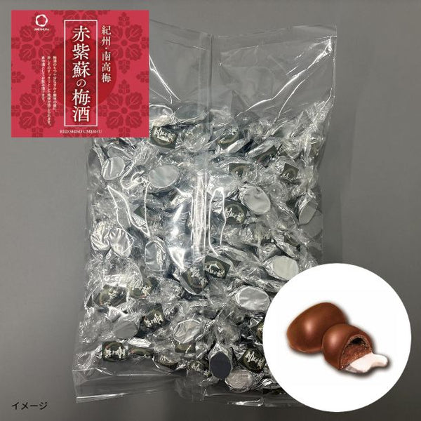 「梅酒ボンボンチョコレート 赤紫蘇の梅酒（和歌山）」